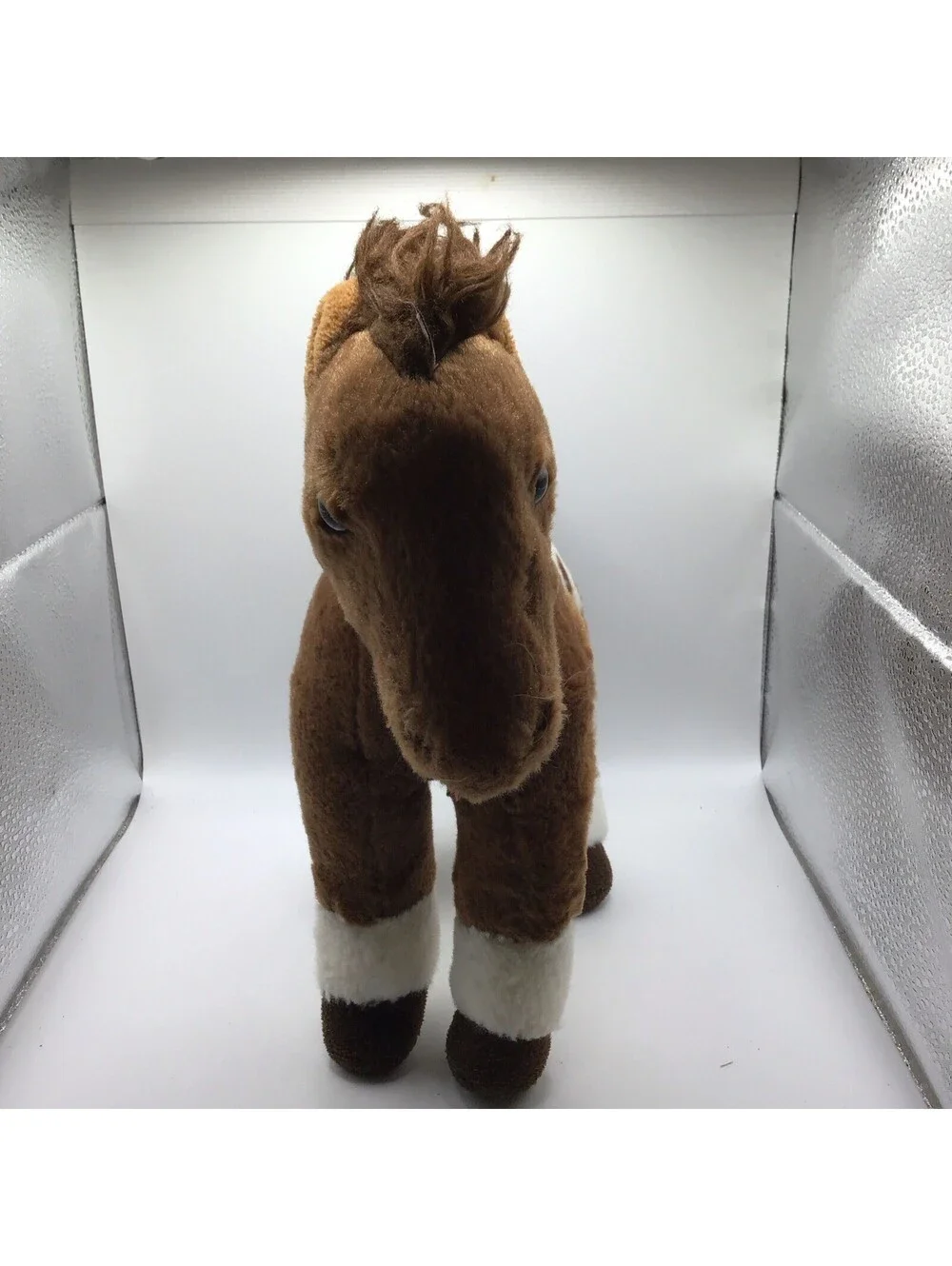Aurora appaloosa horse